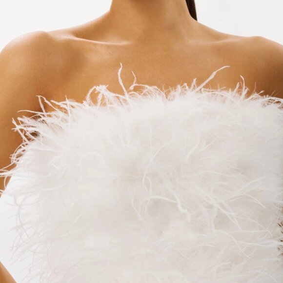 Feather Mini Dress - Picture 2 of 3